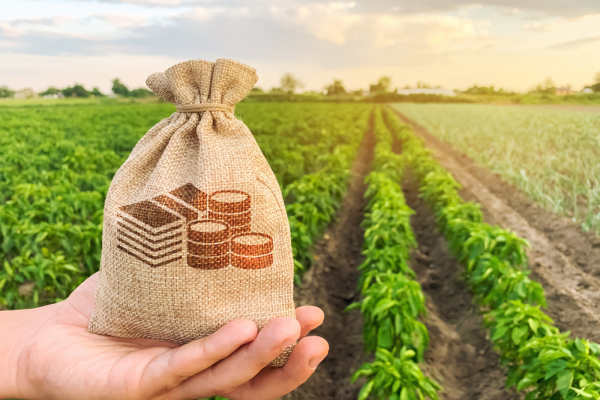 My-project-copy-9-1-4-1400x933